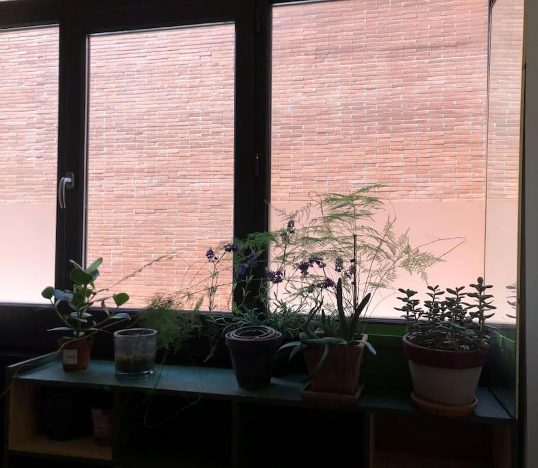 Logement De Charme Aux Carmes Toulouse Exteriör bild